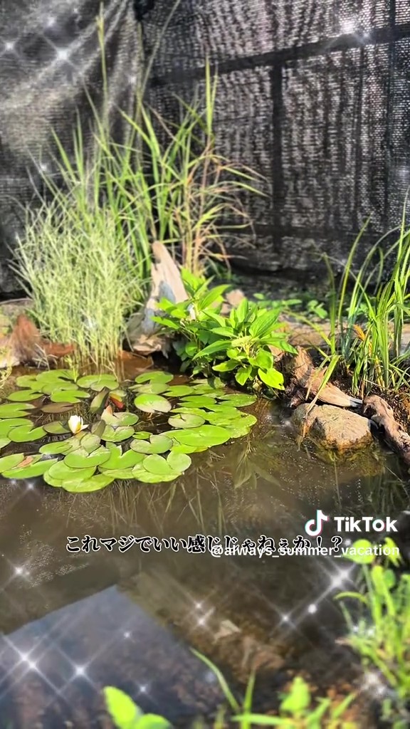 大満足の仕上がり