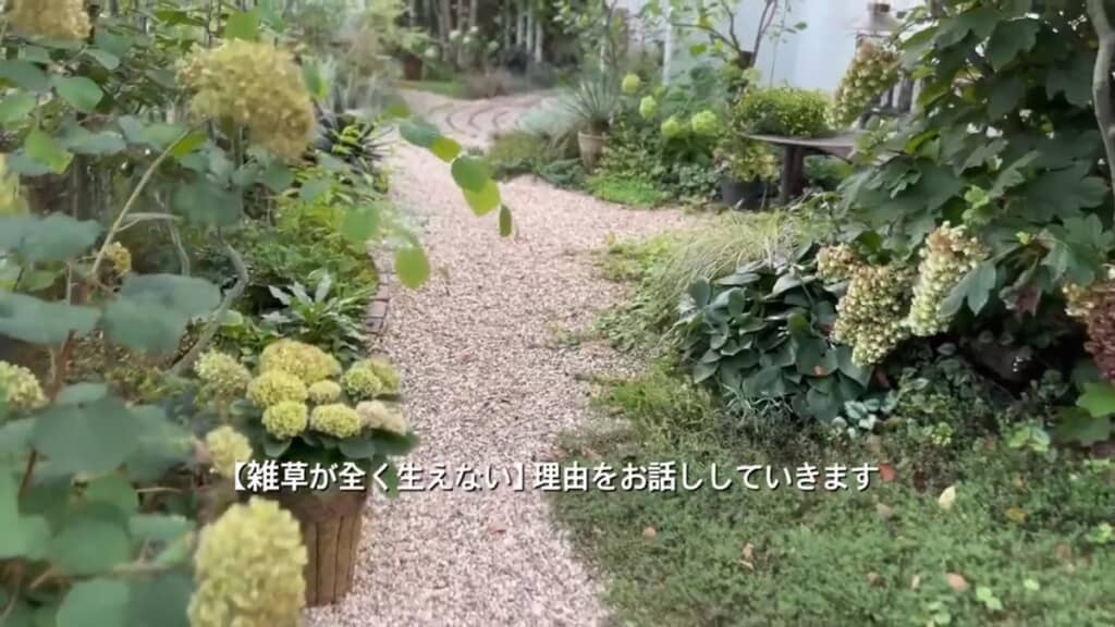 雑草が生えていないきれいな庭