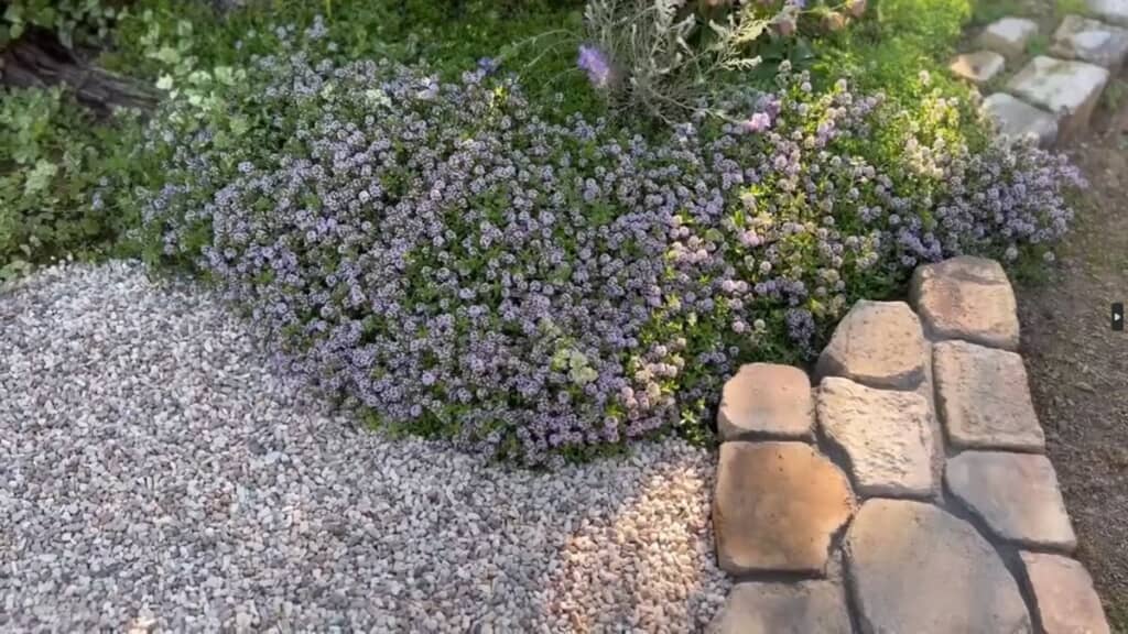 砂利を敷いてDIYが完了した様子