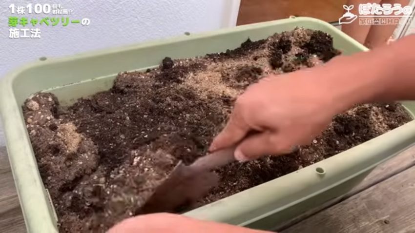 肥料をプランターの土に混ぜ込む