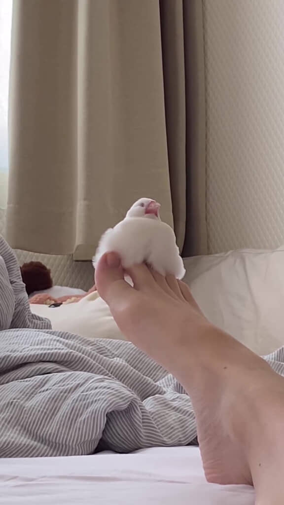 気持ちよさそうな寝顔です◎