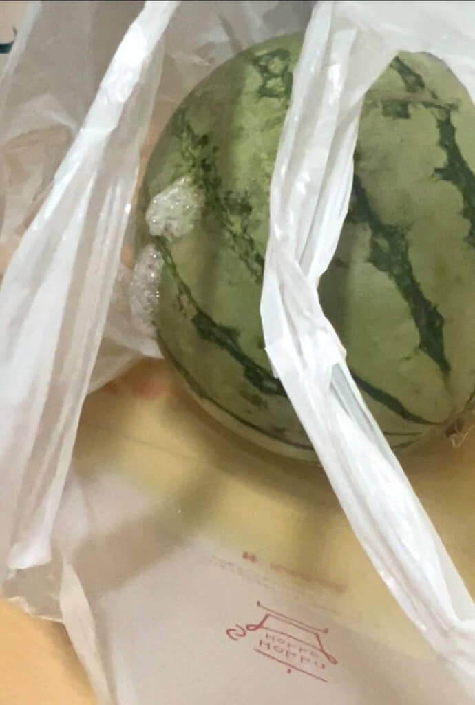 泡を吹いたスイカ。もう見るからにダメそう