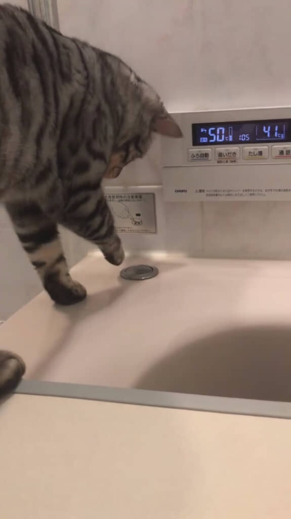 そっと振りかぶって……