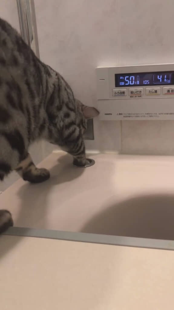 排水ボタンに強烈なパンチをお見舞い！