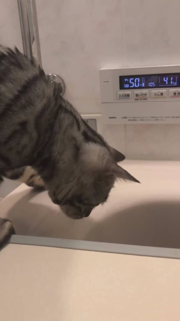 お湯が抜けていく様子を確認