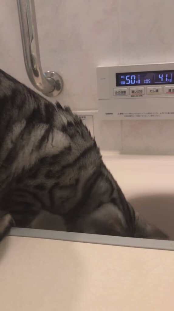 顔を突っ込むほど気になる……