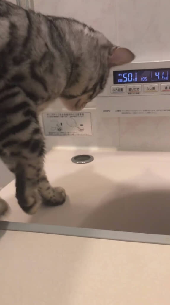 もう一度……？