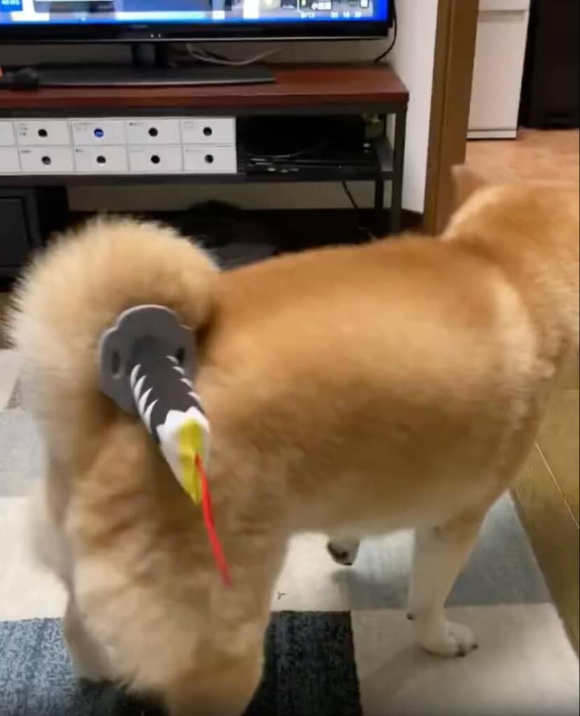 しっぽに収まった刀