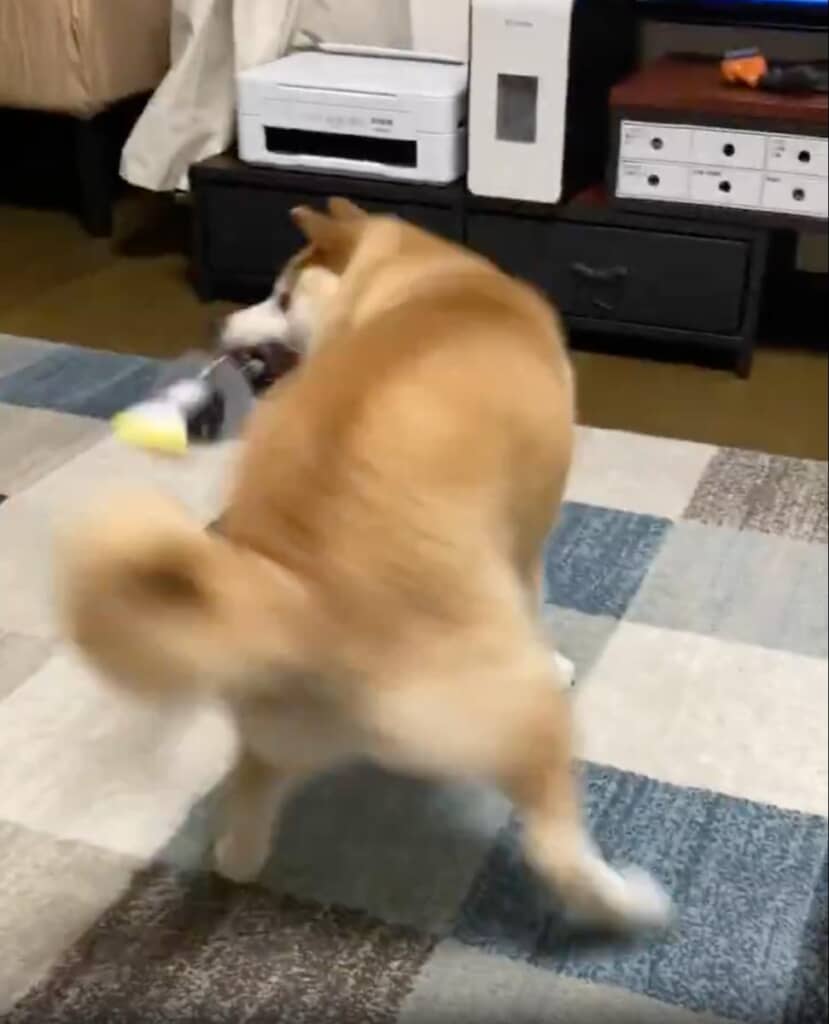 華麗な回転も加えます