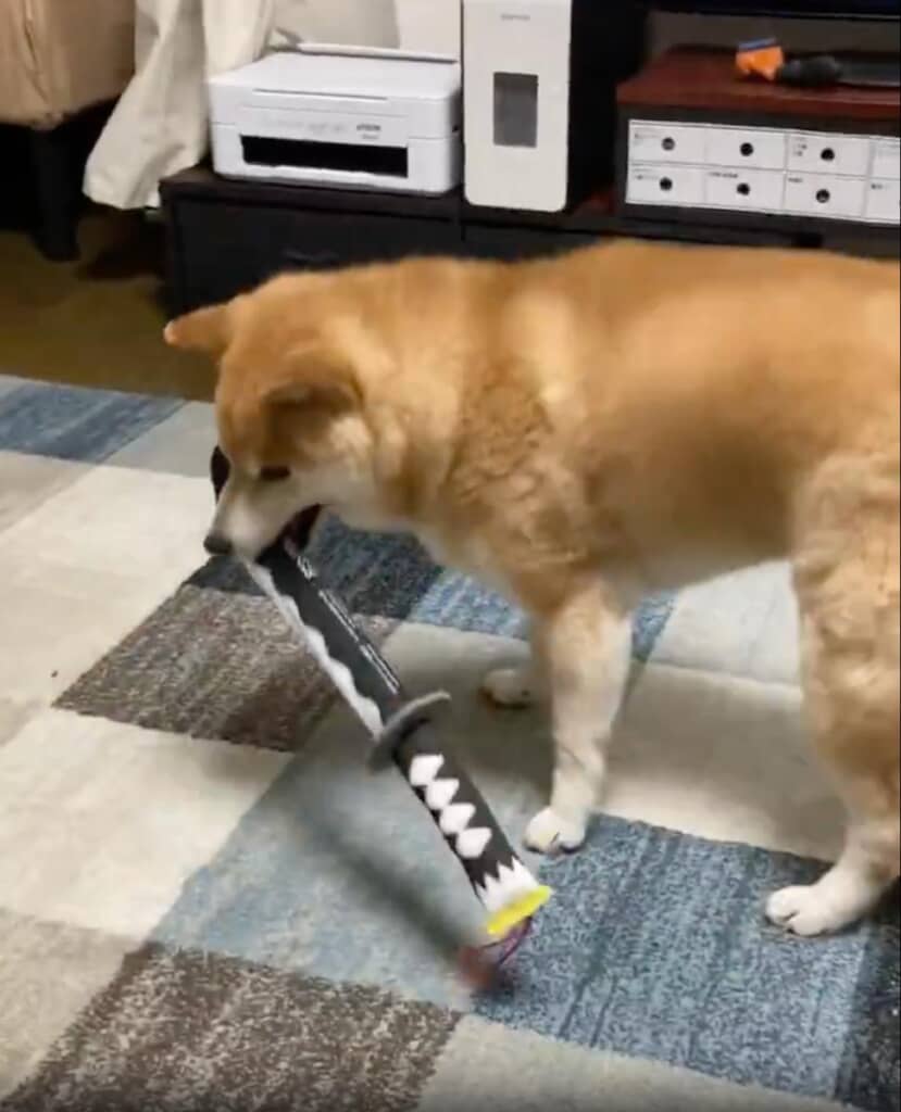 見事に、刀をキャッチ！