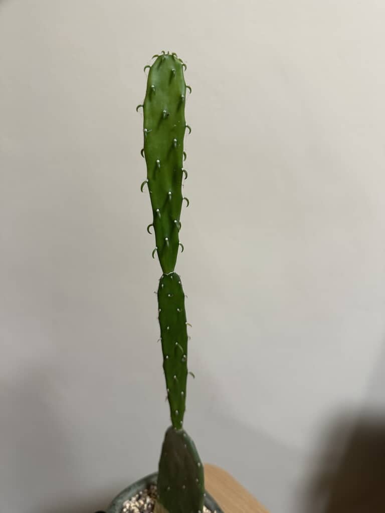 別アングルからの写真