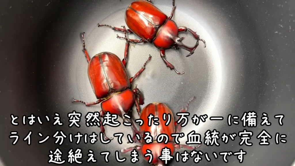 万一の事態に備えて、しっかりとリスク管理をしているそうです