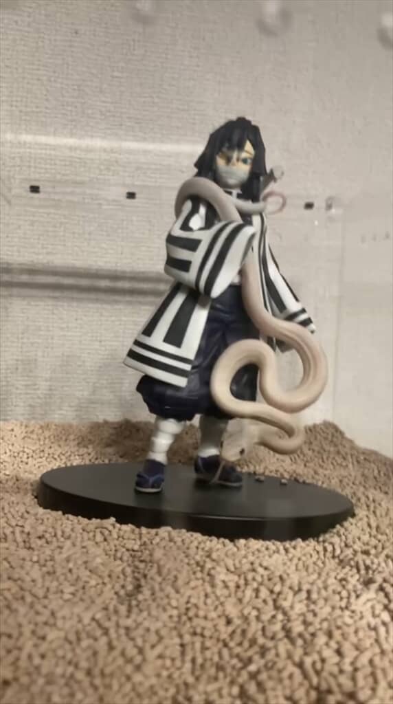 鏑丸が生きてる!?