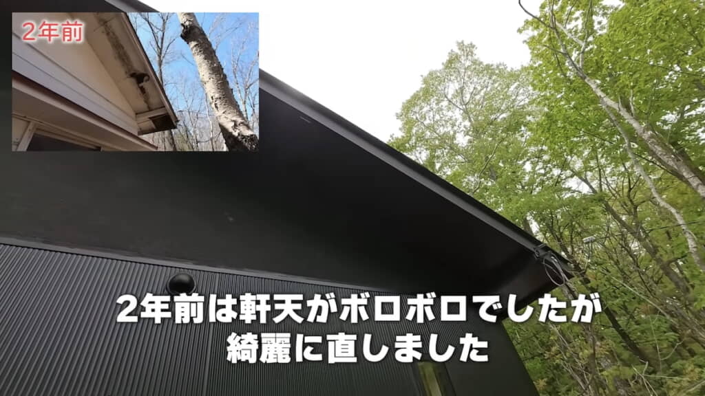 軒の天井を補修