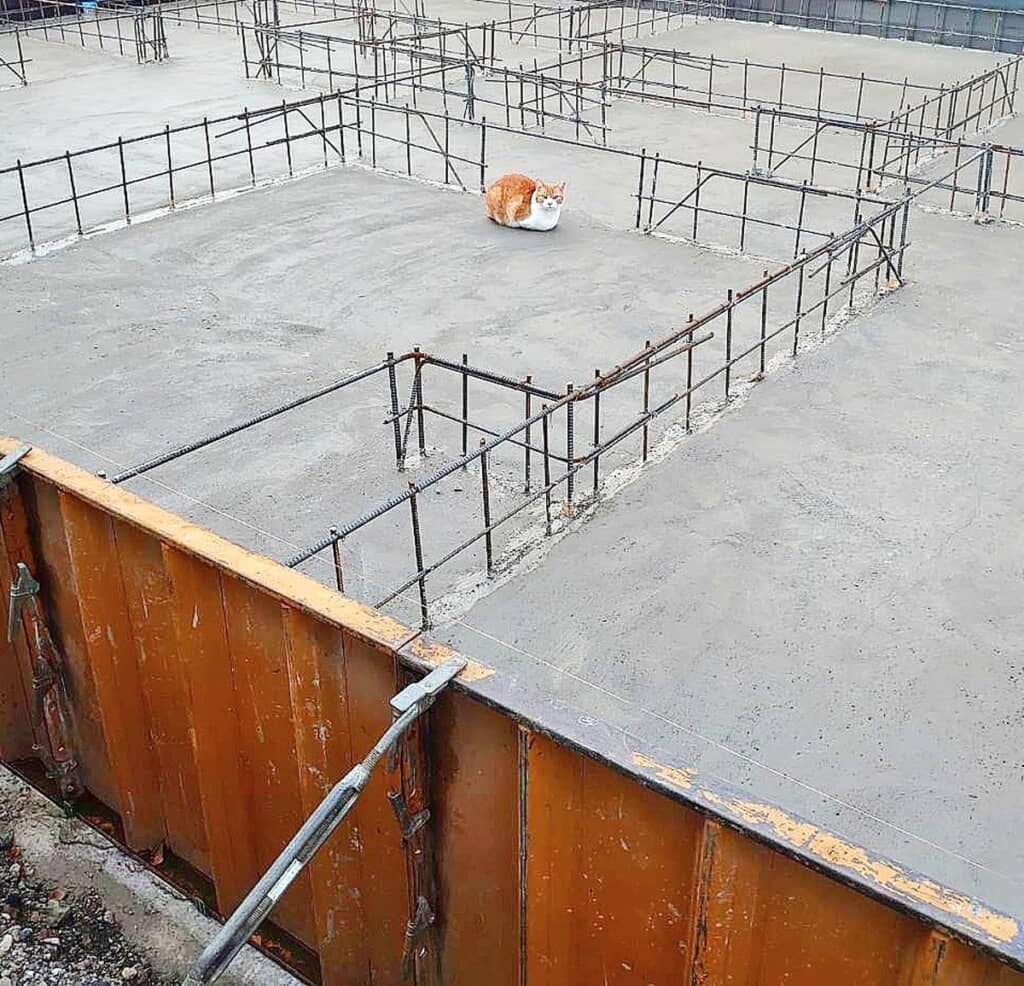 早々とくつろいでいたのは……