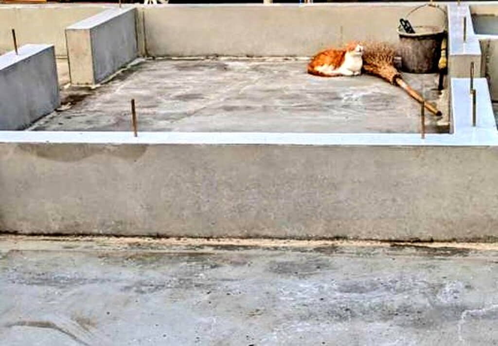 心地良さそう〜