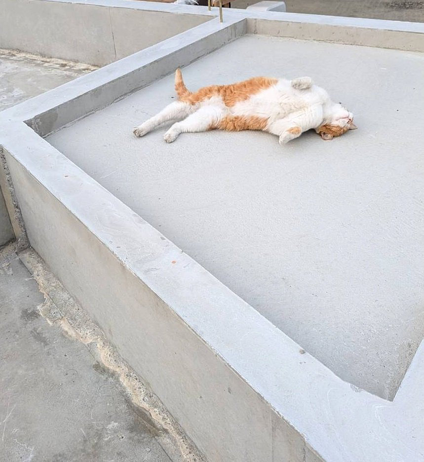 くつろぎ具合が増しているような？