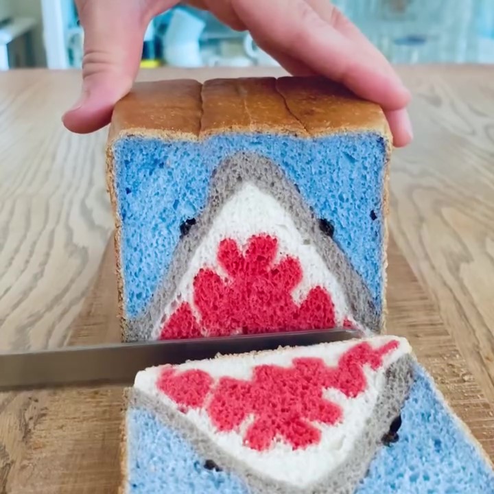 海の中のサメが登場！