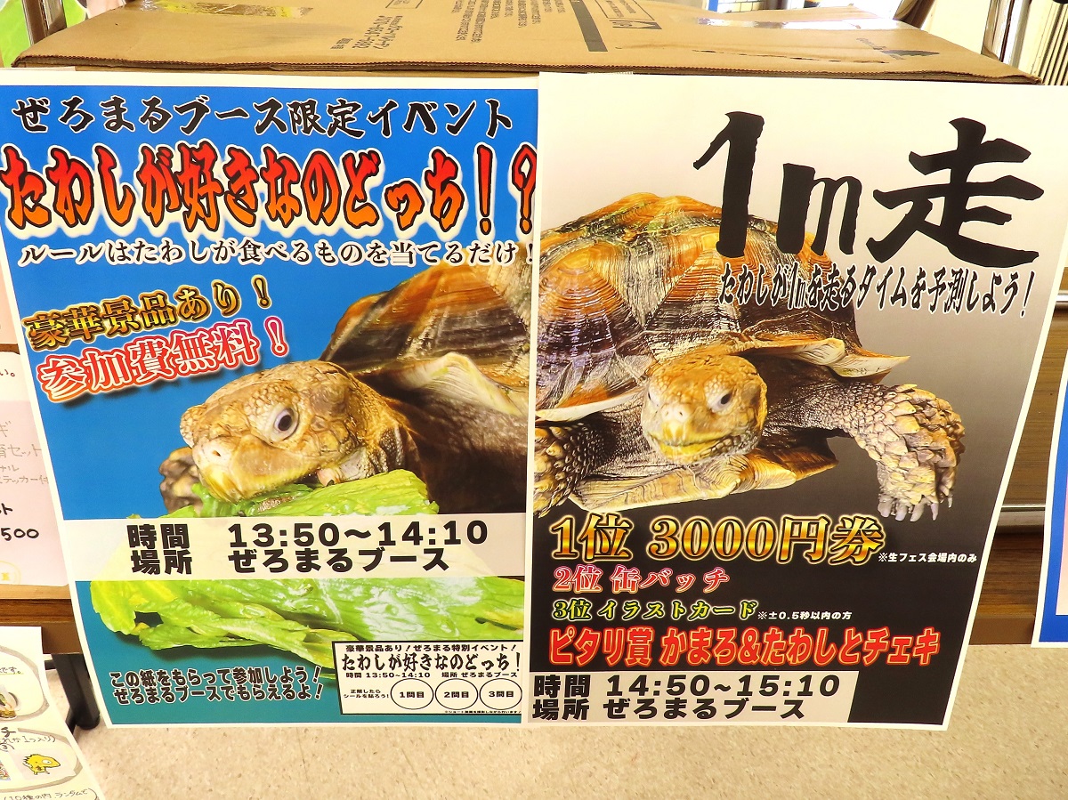 ケヅメリクガメの「たわし」さんが大活躍の企画も！