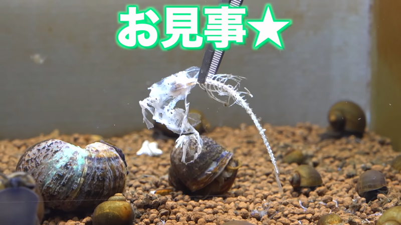 1日でここまで食べてしまうとは……まさにお見事！の一言です