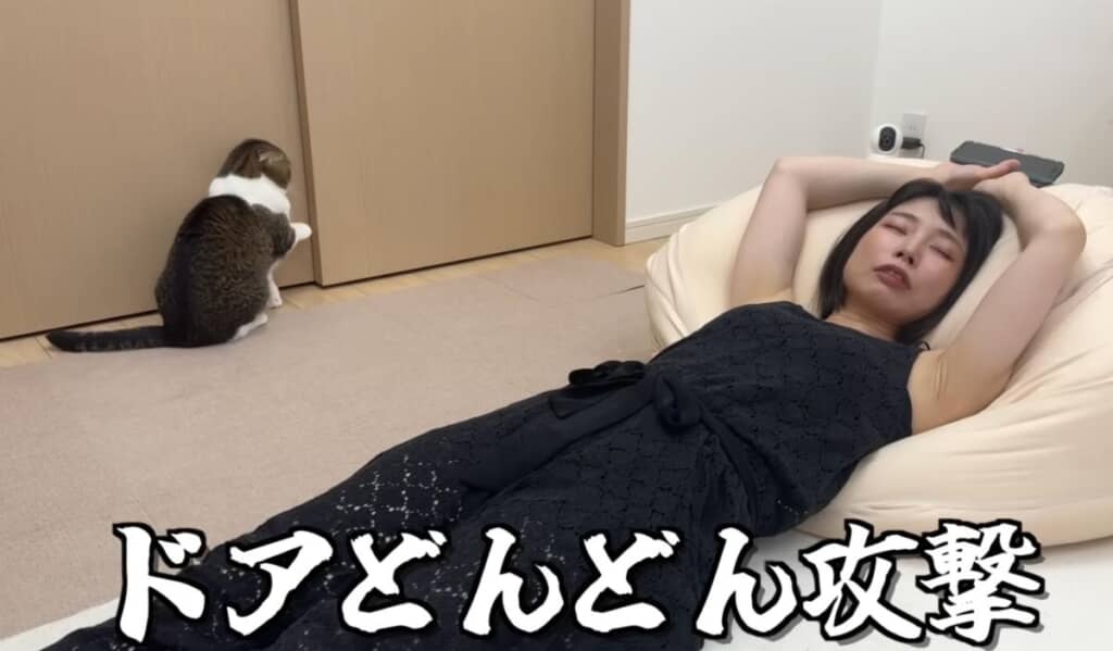 最近よく使う得意技「ドアどんどん攻撃」