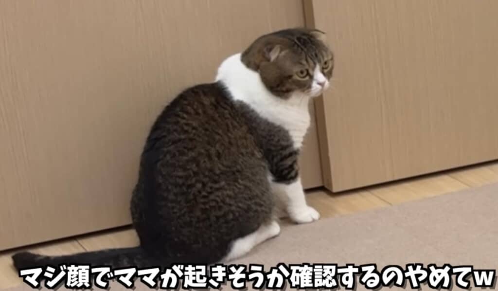 確認しながら攻撃を続けます