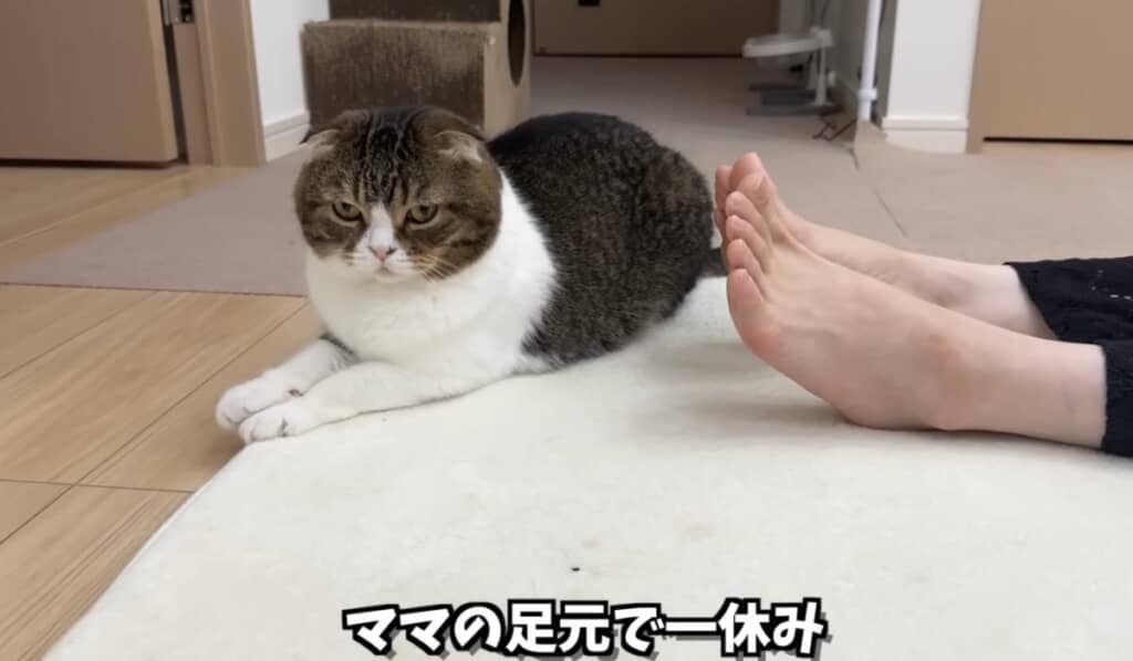 なかなか起きないので一旦休憩