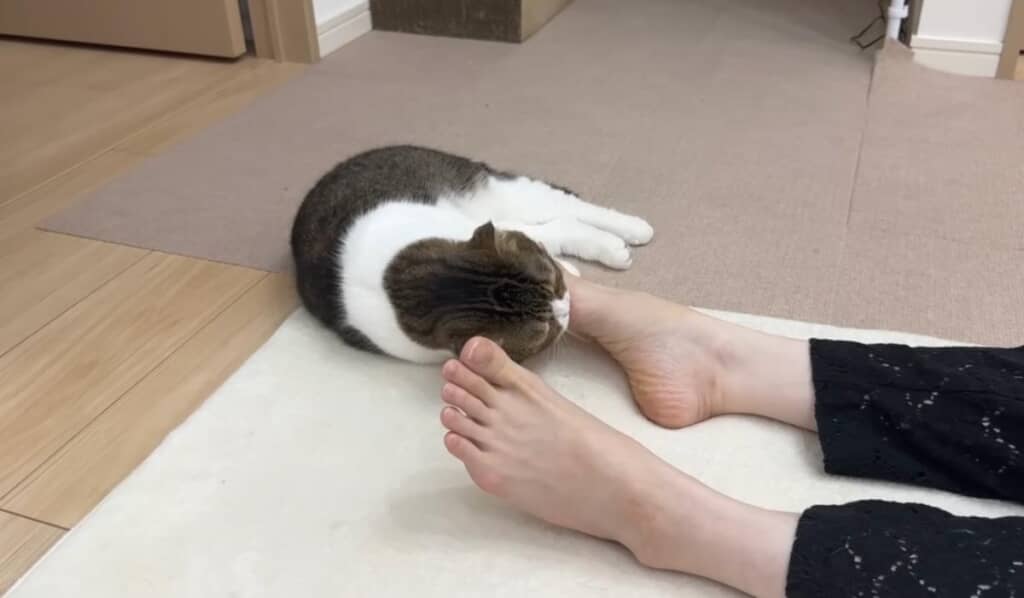 キレたぽこ太郎くんが見せた荒技