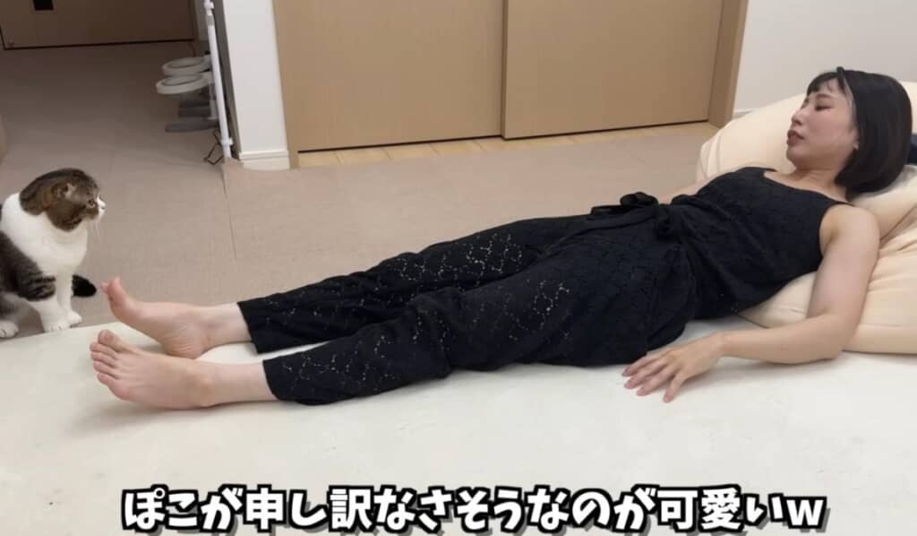 申し訳なさそうなぽこ太郎くん