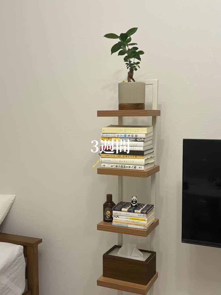 3週間目に設置されたラック