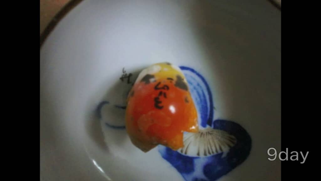 泥酔したみたいに真っ赤