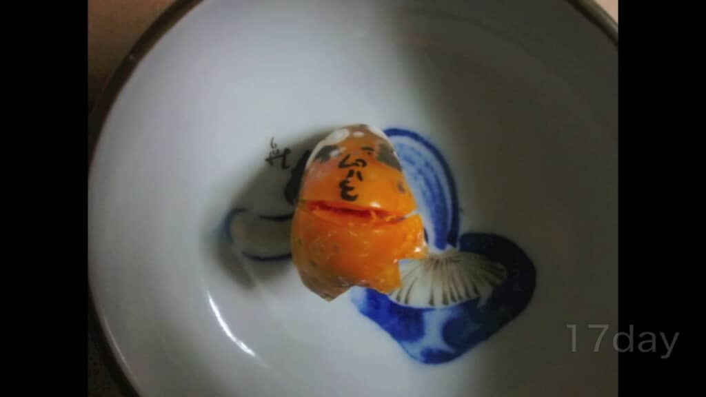 おっちゃんの首元に亀裂が……！