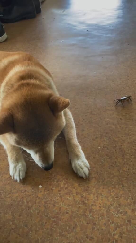 ちょっと心落ち着けて……