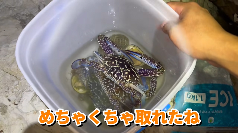 大量の食材をゲット