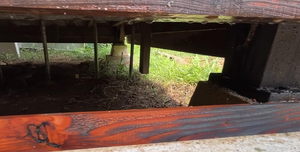 7年前にDIYした小屋の床下をのぞいたら……「やばいやばいやばい」　とんでもない光景に「心にしみます」「なんか切ない」（1/3） | リフォーム・リノベーション・DIY ねとらぼ