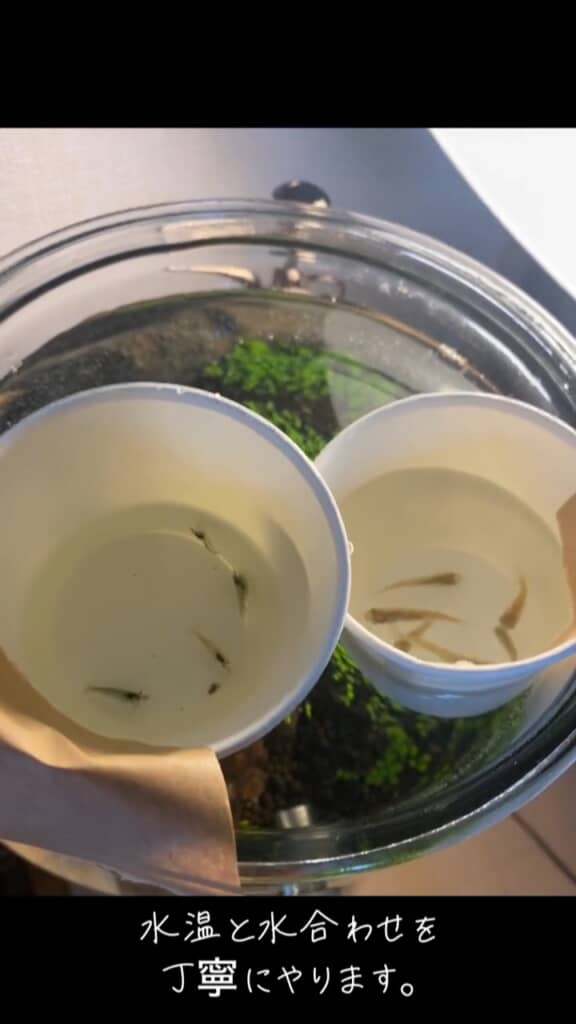 水合わせは丁寧にします