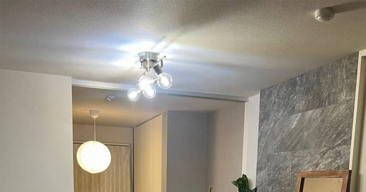 「こんなお家憧れちまうぜ」　1LDKふたり暮らしのお部屋、ドアを開けたら……　こだわり詰まった空間に反響　「かんわいいいいい!!」（1/2） | 住まい ねとらぼ