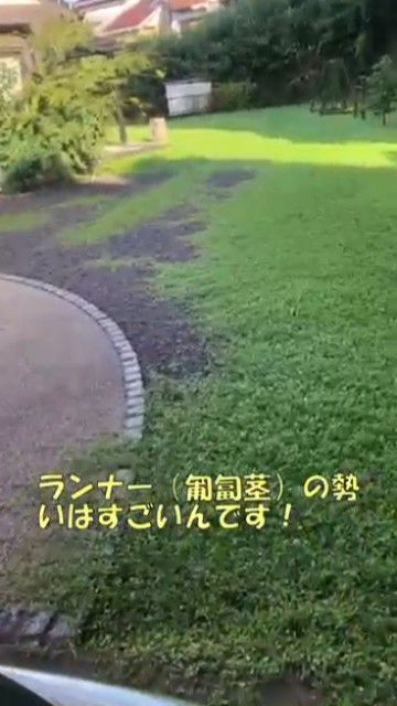 ランナーの勢いがすごい！