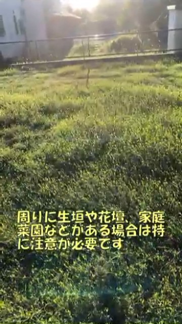 周りに植物があるときは注意が必要