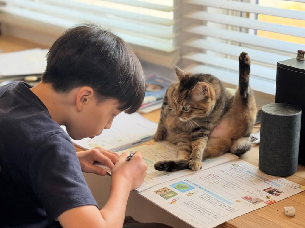 息子を監視する猫