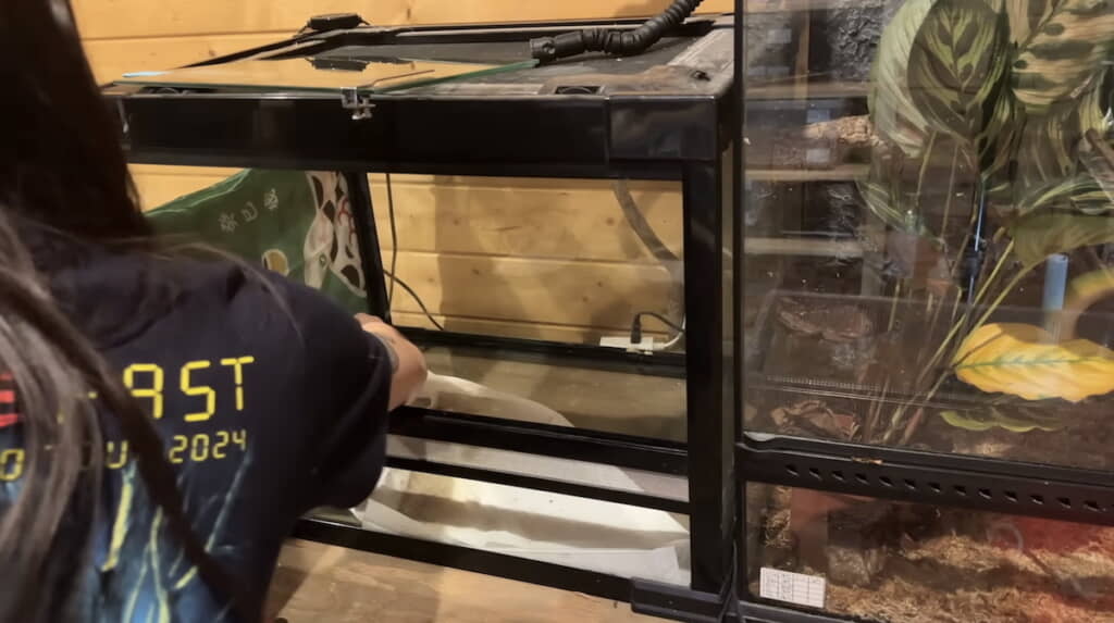 ペットシートを回収