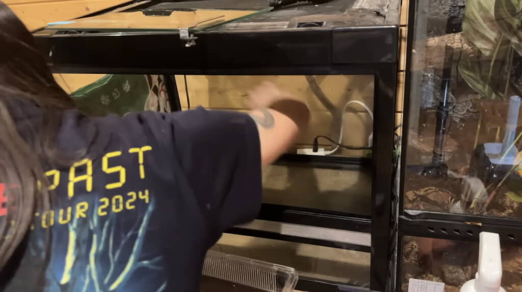 ケージの内側を消毒する