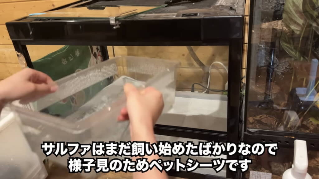 きれいにした水入れを戻す