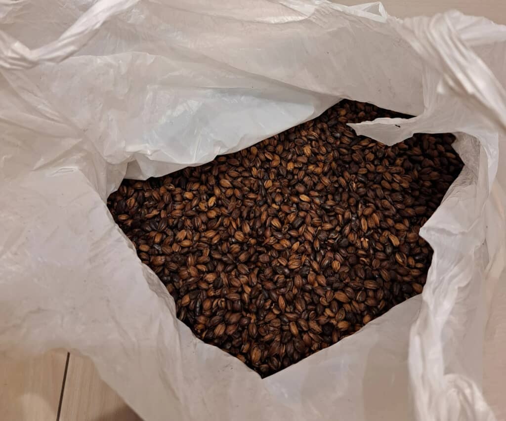 そのまんまの丸麦でした！