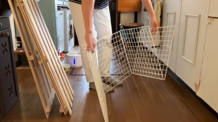 子猫のために用意したすのことワイヤーネット