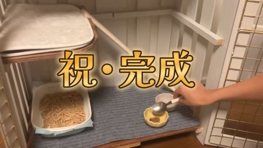 布を敷き、トイレも設置したケージ内の様子