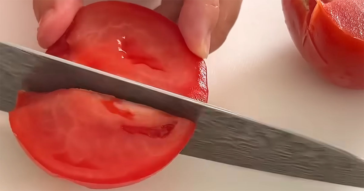 「トマトあったら絶対作って」　調理師ママの絶品レシピに、娘たちが“おかわり連発”　「絶対合う」「鬼リピしてます」（1/3） | グルメ ねとらぼ