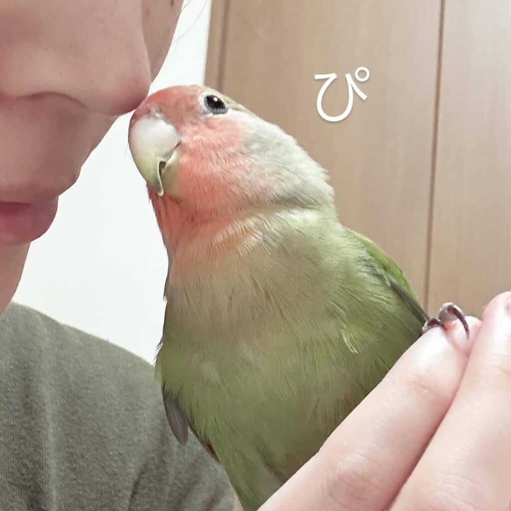 体を寄せてくれるのかわいい