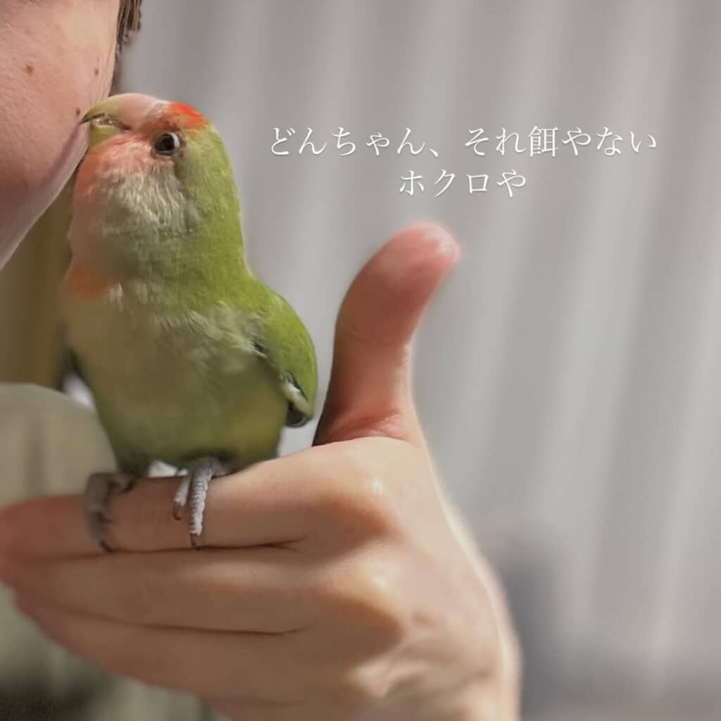 ほくろをカリカリ