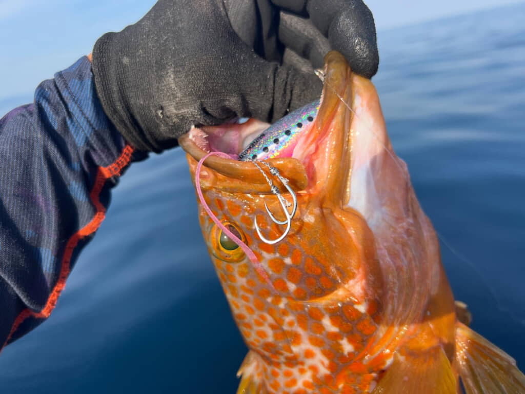 横から見てもたしかに刺さっていない……
